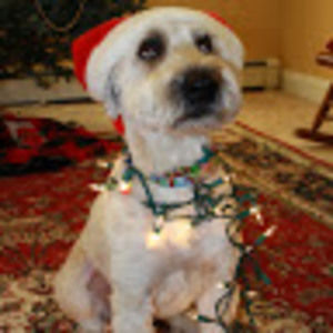 Meet your Posher, Gail